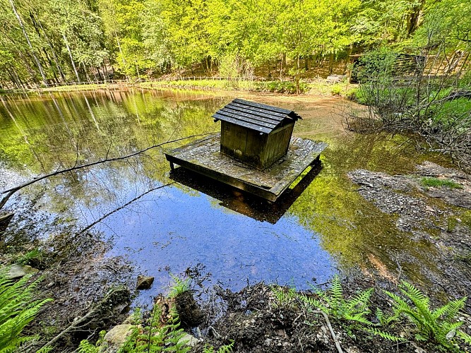 Promenade_etang_du_prieur_©_MTFSH_TEXTO_Pascal_Willems_(155)