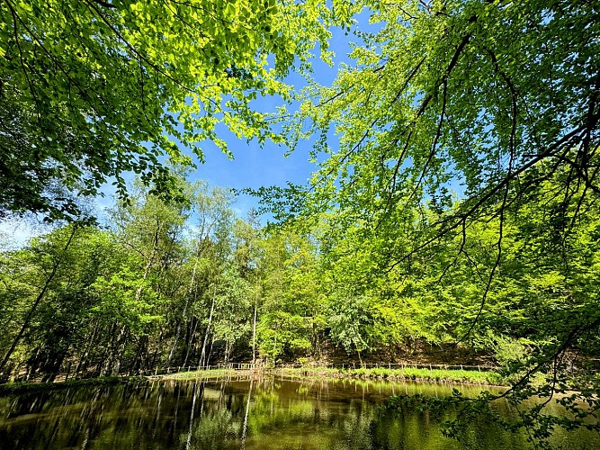 Promenade_etang_du_prieur_©_MTFSH_TEXTO_Pascal_Willems_(50)