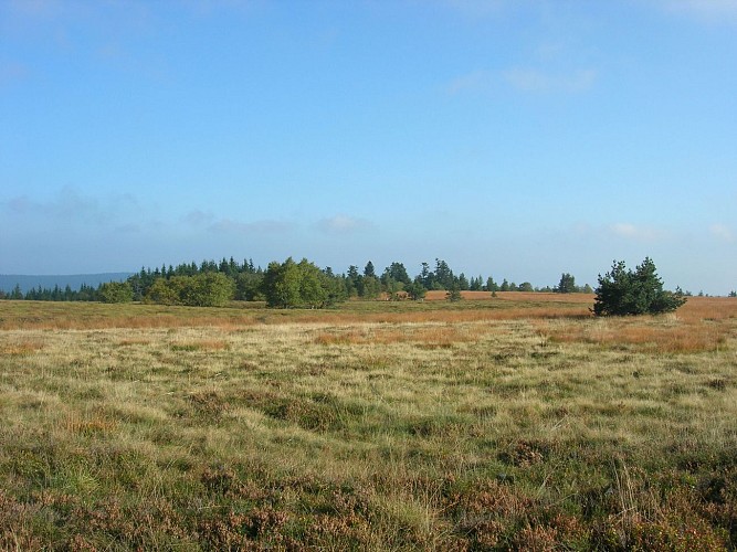 Le Col de la Loge