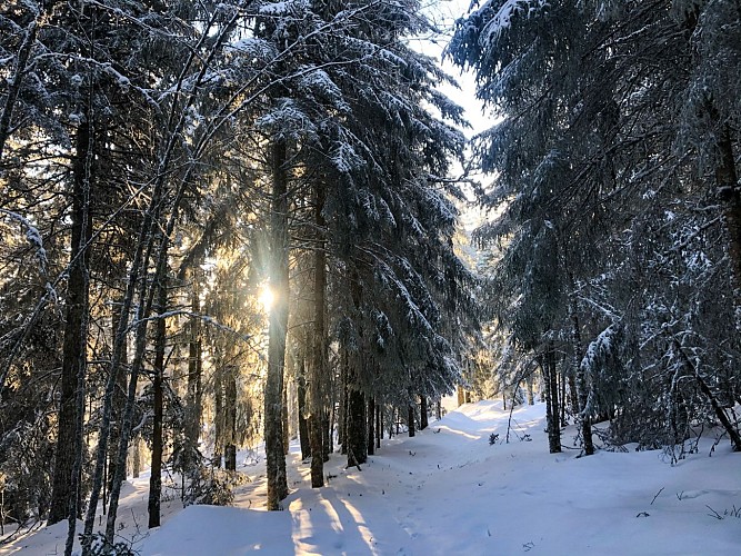 Le Col de la Loge