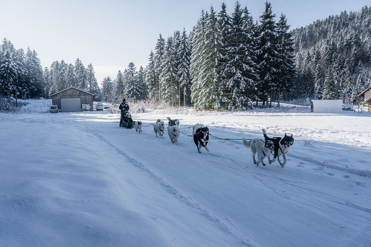 Domaine de ski nordique de la Praille