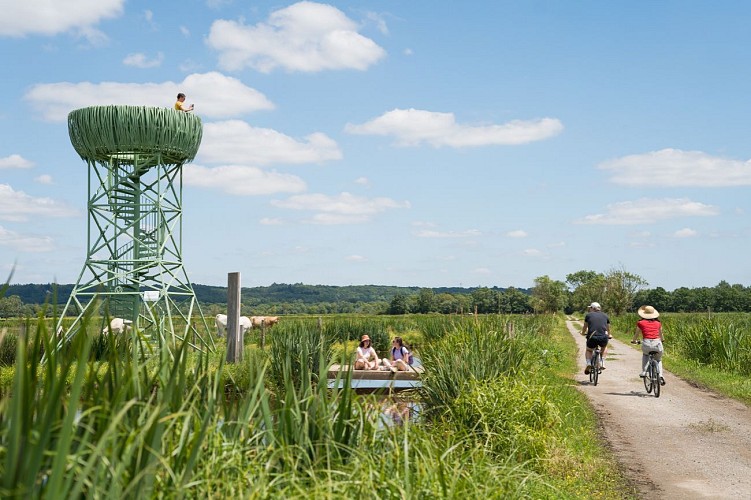 Le Nid-Observatoire du Marais du Syl, Lavau-sur-Loire