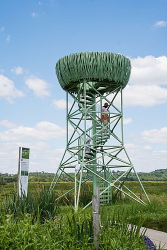 Le Nid-Observatoire du Marais du Syl, Lavau-sur-Loire