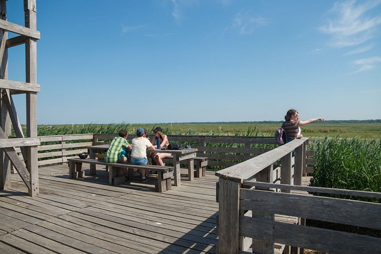 L'Observatoire Tadashi Kawamata, œuvre du Parcours Estuaire Nantes<>Saint-Nazaire, Lavau-sur-Loire