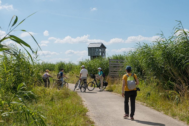 L'Observatoire Tadashi Kawamata, œuvre du Parcours Estuaire Nantes<>Saint-Nazaire, Lavau-sur-Loire