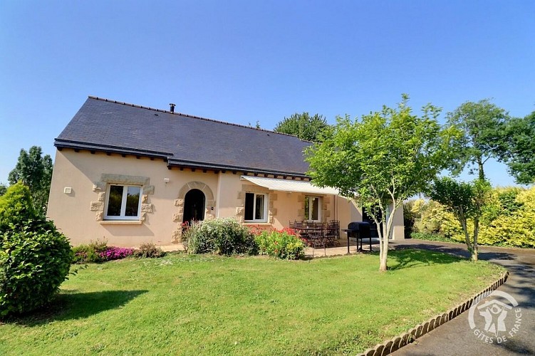 Les oiseaux de passage