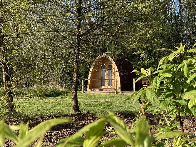 PoppyPod - jardin mandala