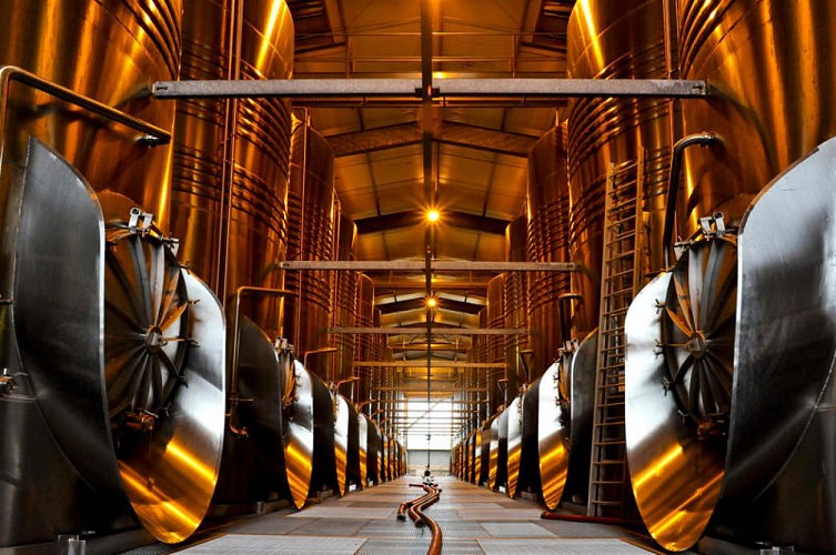 Photo Caves de Rauzan guide 2016