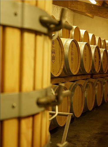 Château Tour de Castillon2