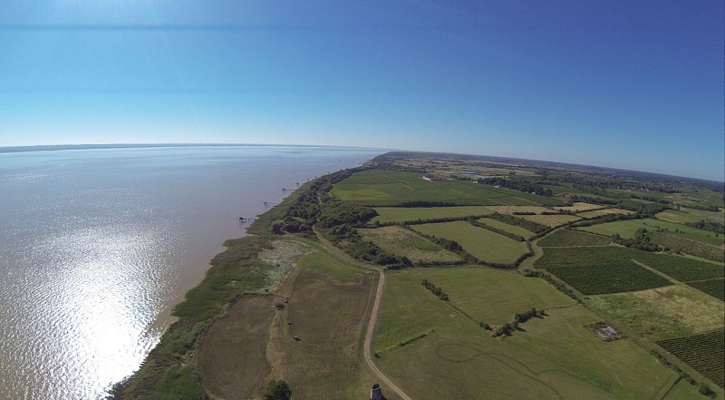 Château Tour Castillon 2
