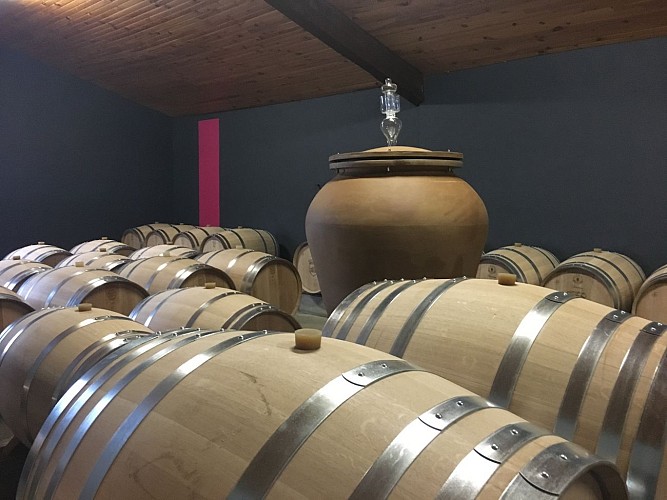 Château Tour Castillon 4