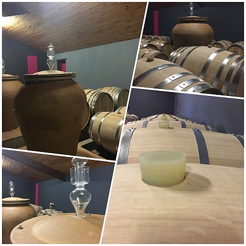 Château Tour Castillon 7