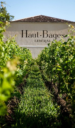 HBL - Couvert + vignes