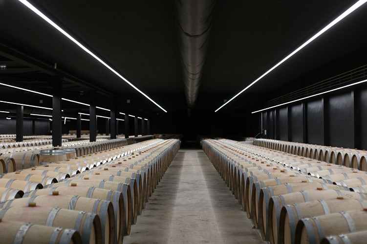 château larose trintaudon 6