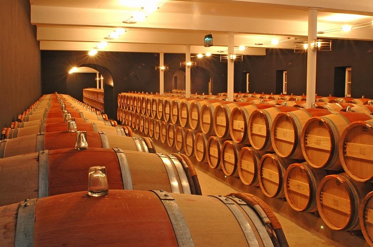 Chais à barriques Chateau Leoville Poyferre credit photo Anaka