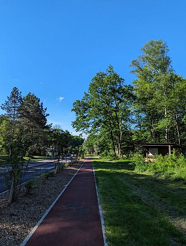 Piste cyclable en forêt
