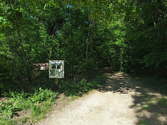 Parc de loisirs de la fôret de haye