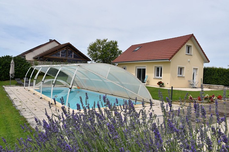 jardin et piscine 