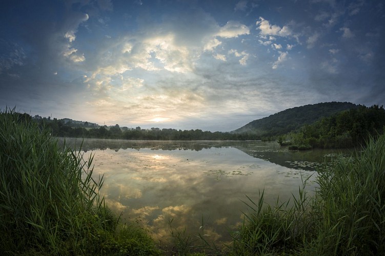 Etang de Gôle Sensitive Natural Area