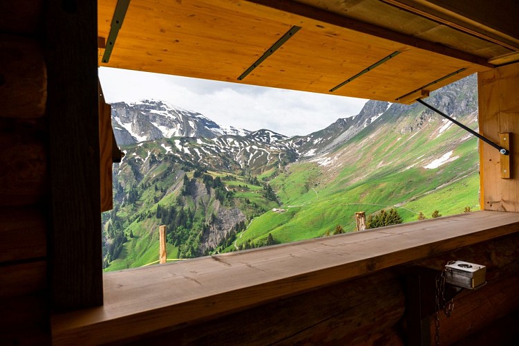 Observatoire de la Faune