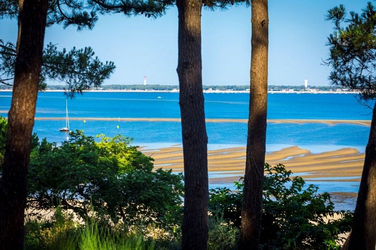 pins_pereire_coucher soleil_alain vacheron (9)