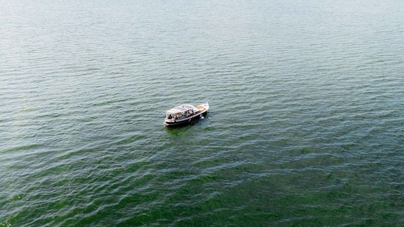 DRONE BISCA PAPILLON VWEB-6