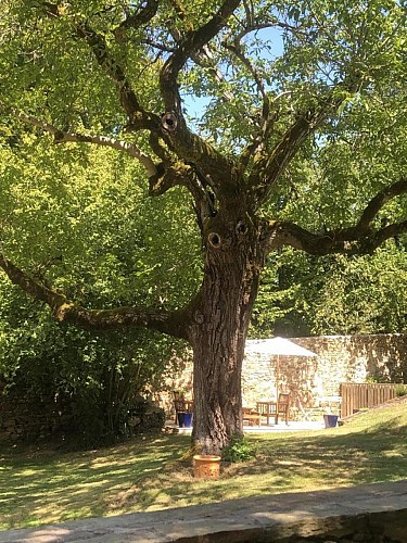 Le logis de la Roche