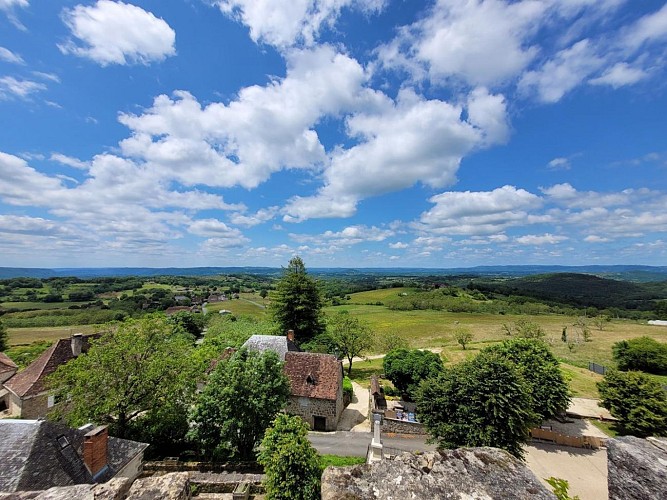 Domaine de la Tour