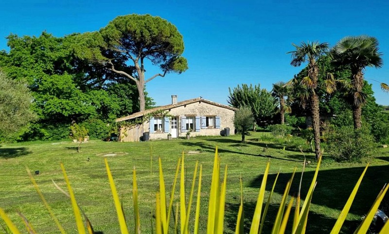 43323fa2-a07d-4a8f-b2d0-297a6ca00208