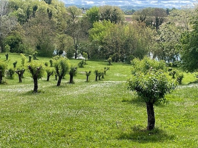 Le Lot d'Amandiers -vue depuis la terrasse sur le Lot