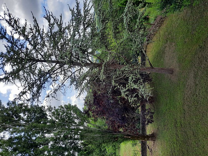 HLOAQU047V50KUBO_PRAYSSAS_REMPARTS_PHOTO1