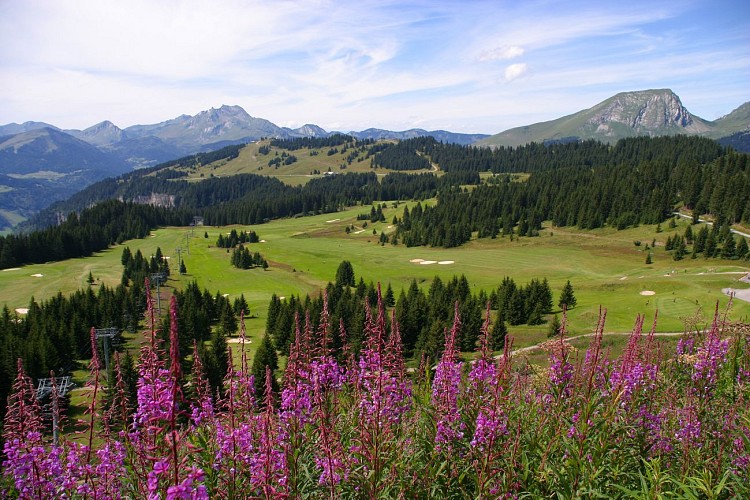 Golf d'Avoriaz Morzine