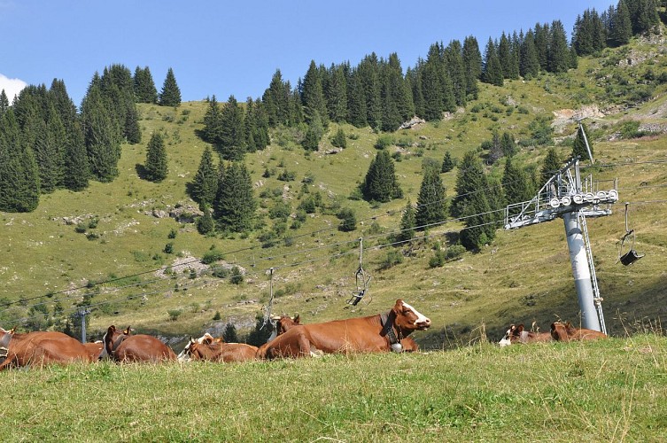 Shop of the Seraussaix farm