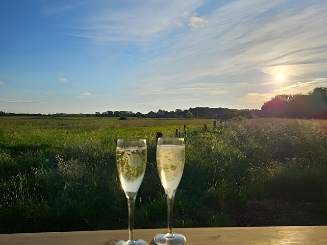 Champagne avec vue sur les marais - Villa La Lisière - Merville-Franceville-Plage