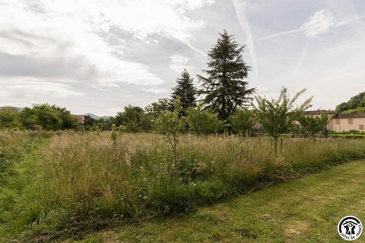 UN COCON SUR LA VIA GARONA