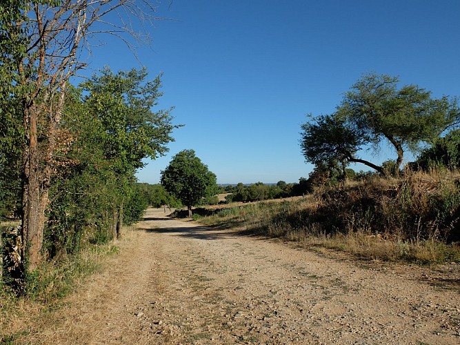 Chemin vers la croix des Templiers