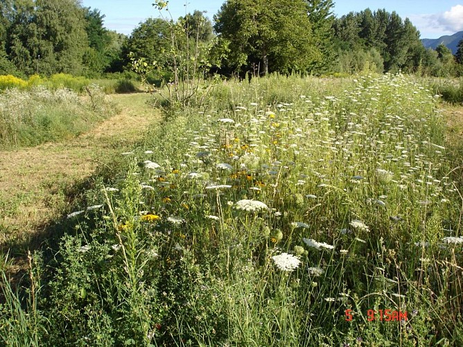 Les amis du Jardin Vagabond