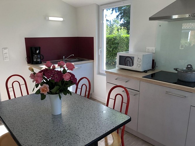 Chalet 1 Saint-Secondin (3)