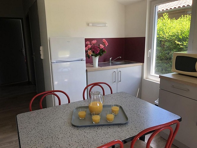 Chalet 5 Saint-Secondin (1)