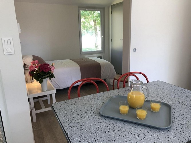 Chalet 7 Saint-Secondin (1)