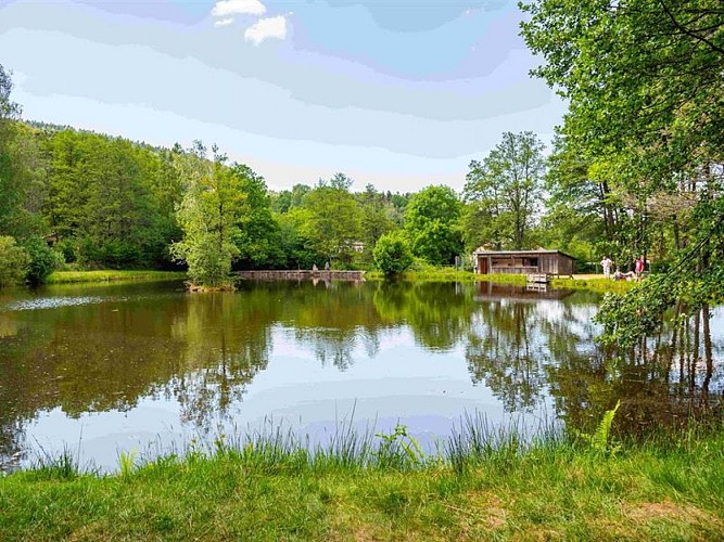 Der Fischteich von Rayau