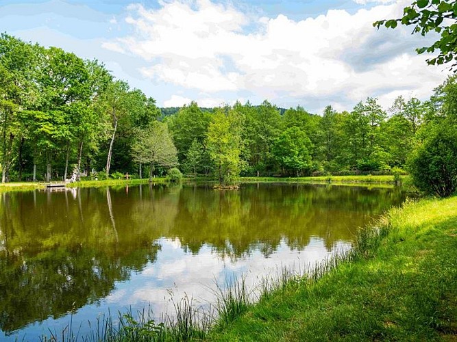 The Rayau fishing pond