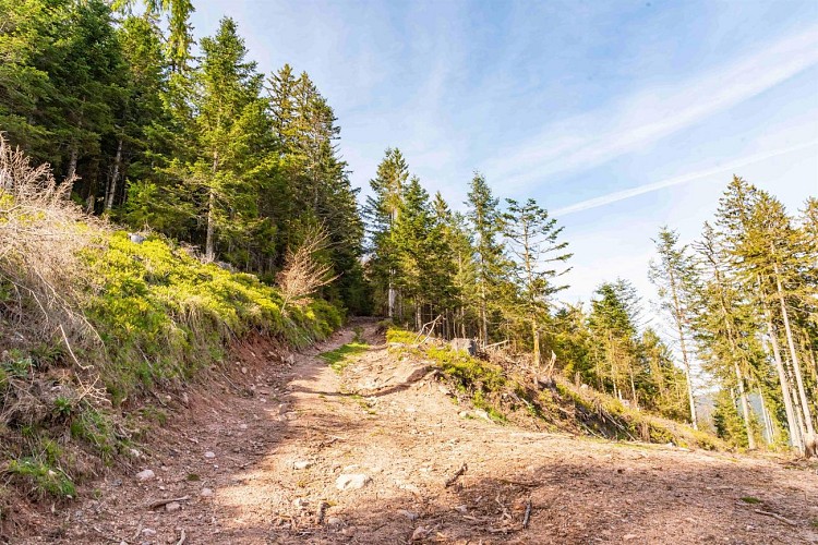 Die Felsen von Valtin