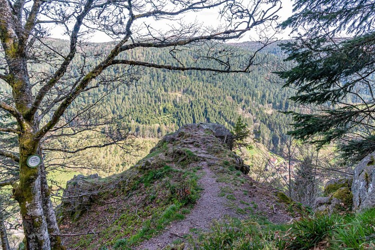 Les roches du Valtin