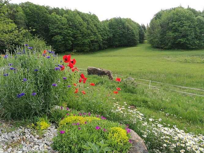 Meublé La Ferme de la Pausétie