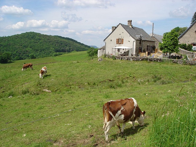 Bed and breakfast "Chez Marraine"