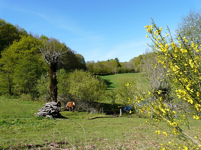 Chambres d'hôtes Le Pré de Tives