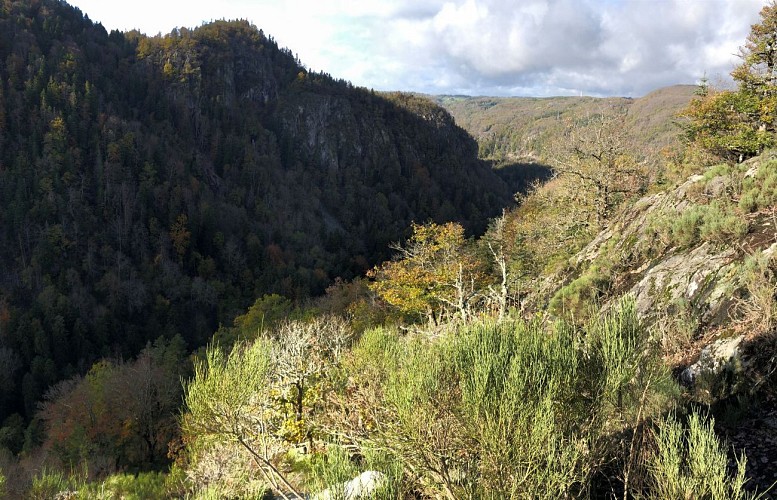 Gîte Les Faux-Monnayeurs