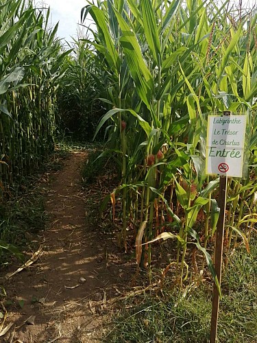 Bassignac corn maze