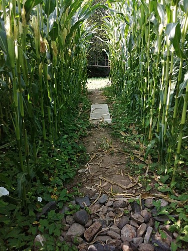 Bassignac corn maze